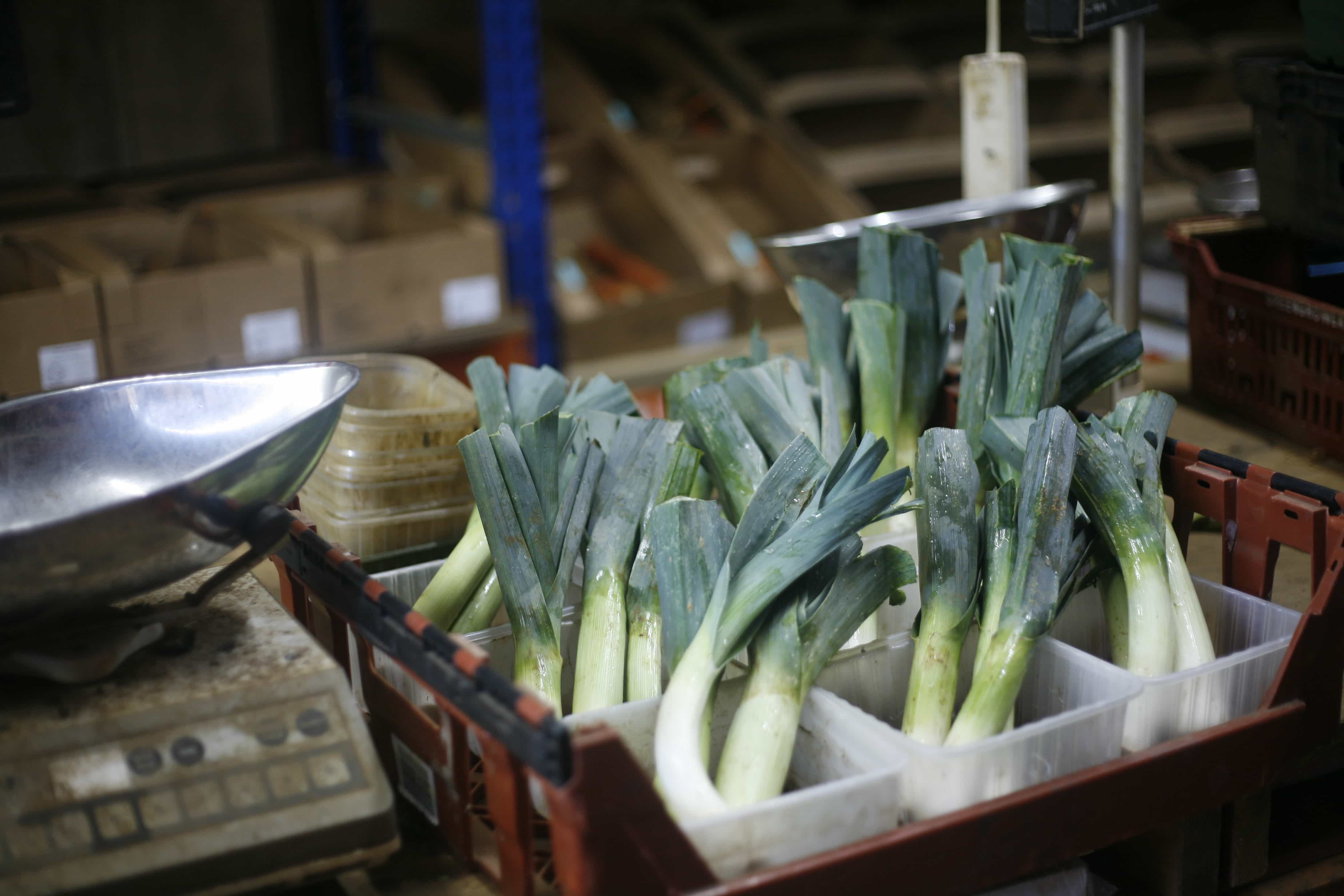 What is organic?