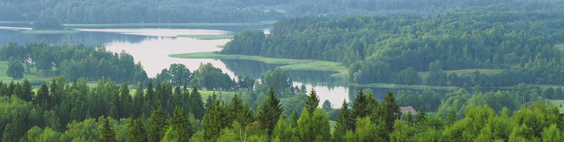 soil-association-certification-forestry-header-banner (14).png