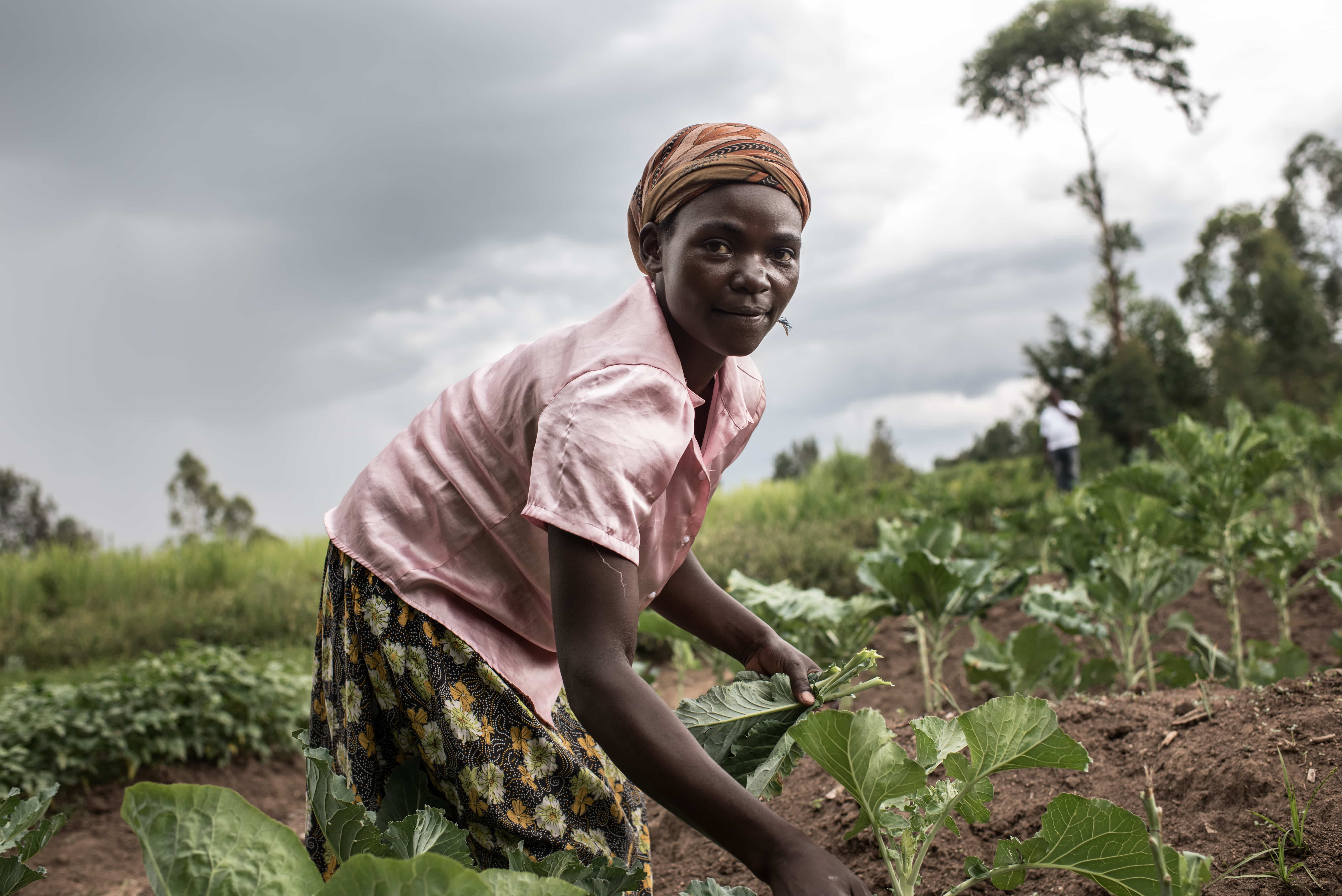 In A Changing Climate Can We Feed The World? | Soil Association