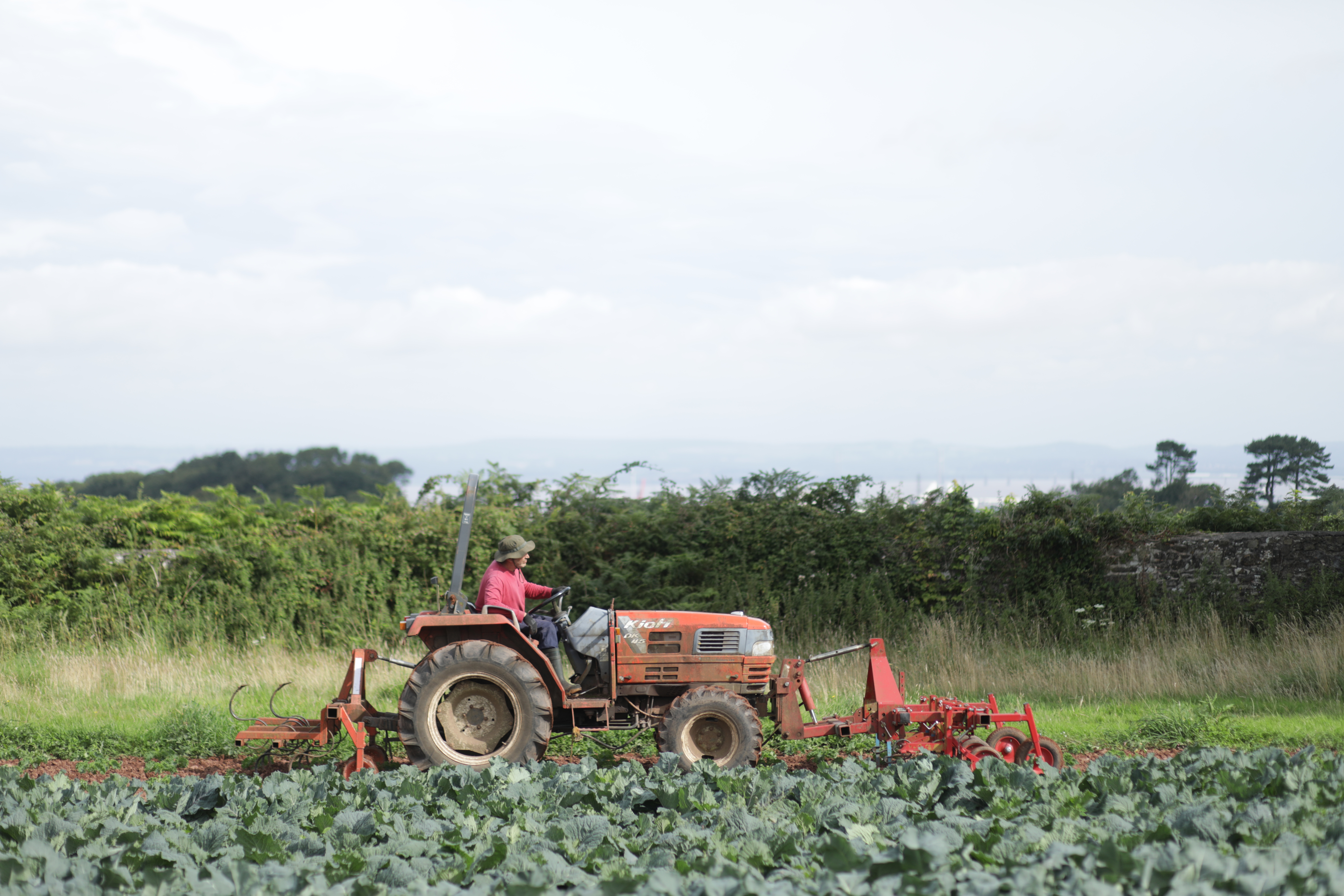 Our commitment to ensuring a resilient food and farming system in the UK  