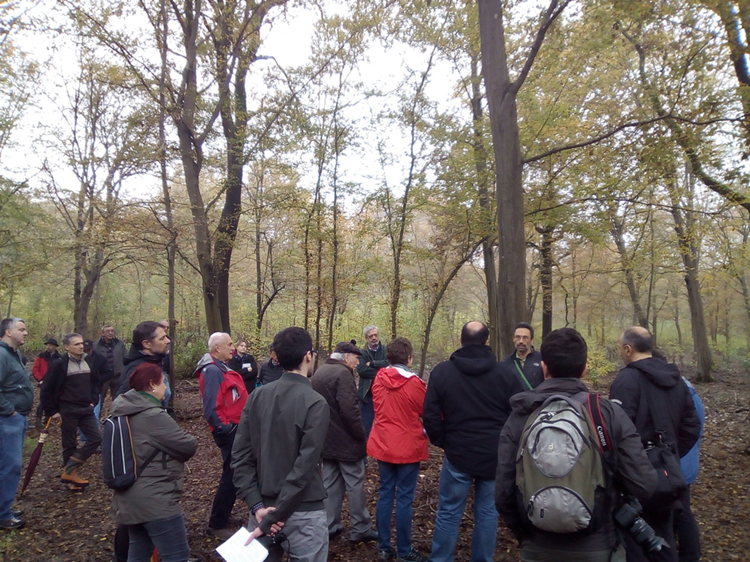 Group of delegates at the fourth Italian National Congress of Silviculture exploring a forest