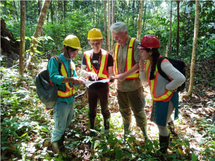 Audit team and  Forestry team members, Sonia Nayar and Andy Grundy, hard at work in forest in Borneo