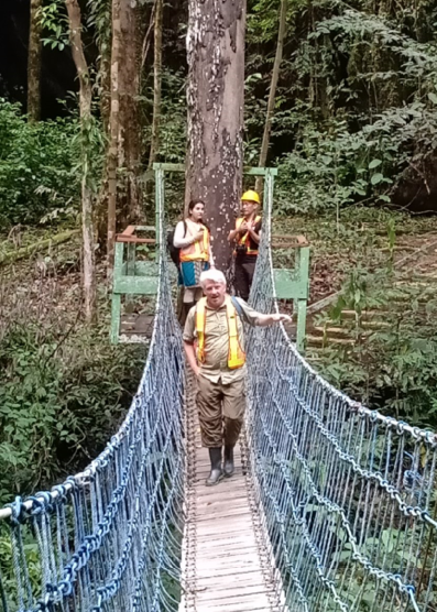 Forestry team member, Andy Grundy crossing a rope bridge in a forest, as Sonia Nayar looks on