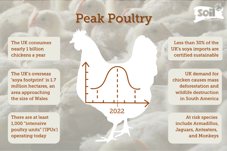 Why are we calling for peak poultry?