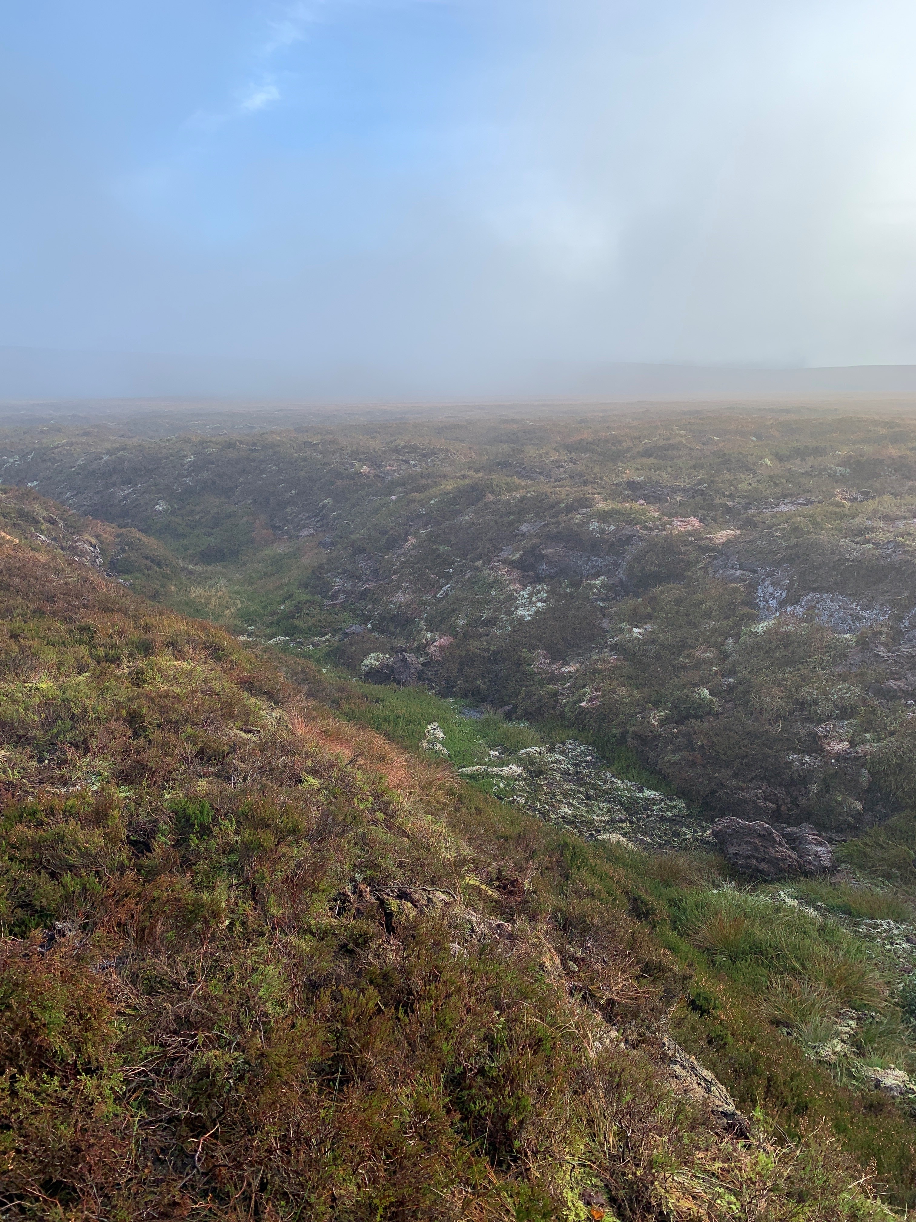 Peatland Code project in Scotland 