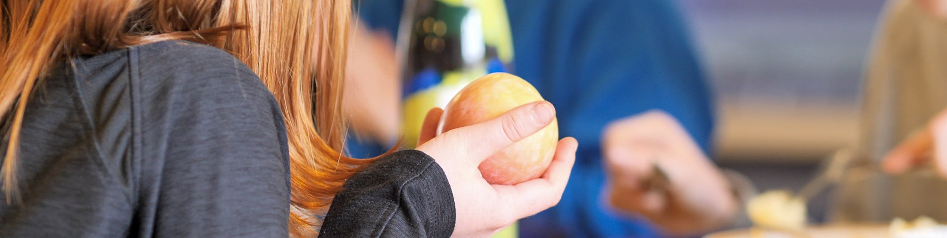School meal with apple at Campie.jpg (1)