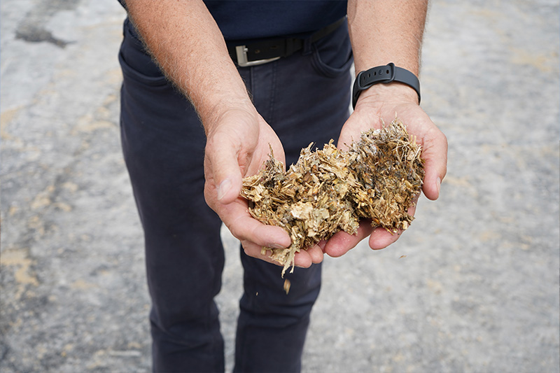 Drying woodchip