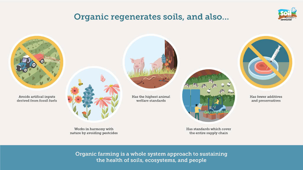 organic regenerates soils