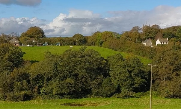 Hedgerows on Tregooden Farm