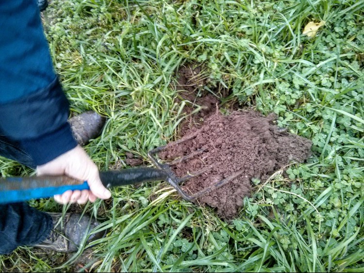Fork digging soil